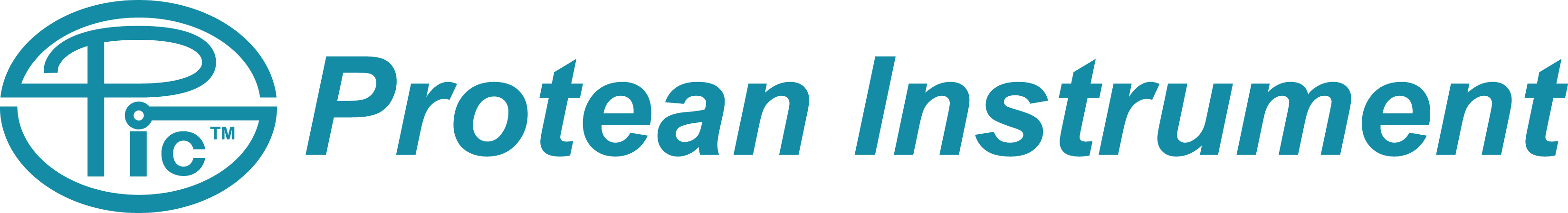 Protean Logo web